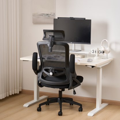 Ergonomic Black Office Chair
